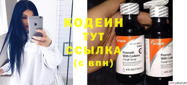 твердый Новодвинск