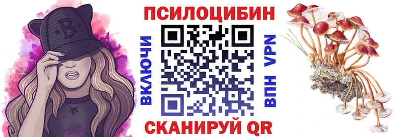 kraken tor Междуреченск Псилоцибиновые грибы прущие грибы
