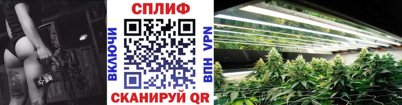 OMG рабочий сайт  Междуреченск  Бошки марихуана план 